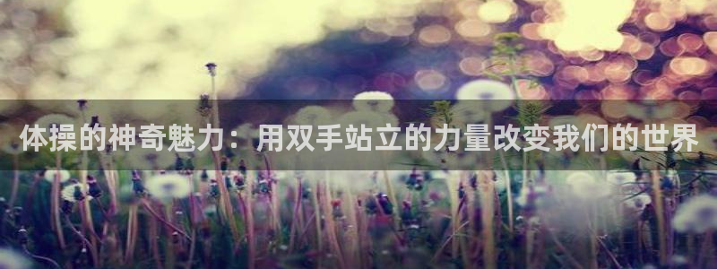球客岛