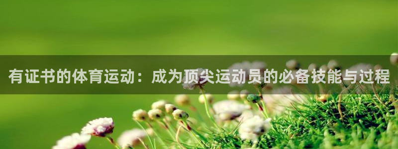 球客岛