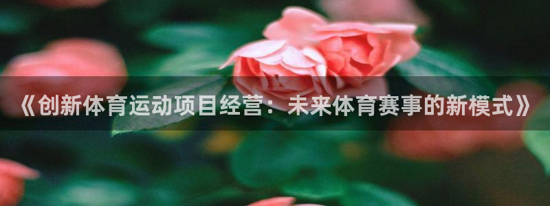 球客岛：《创新体育运动项目经营：未来体育赛事的新模式》