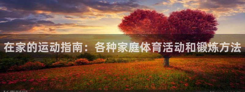 球客岛：在家的运动指南：各种家庭体育活动和锻炼方法