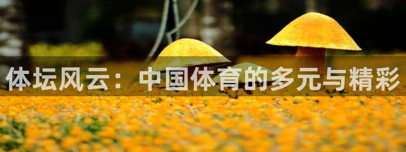 球客岛：体坛风云：中国体育的多元与精彩