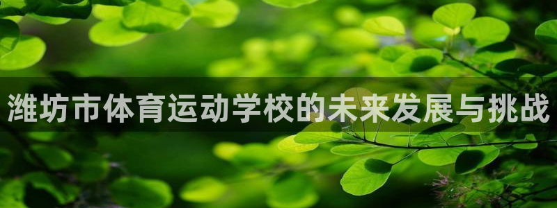 球客岛：潍坊市体育运动学校的未来发展与挑战