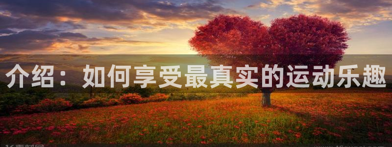 球客岛