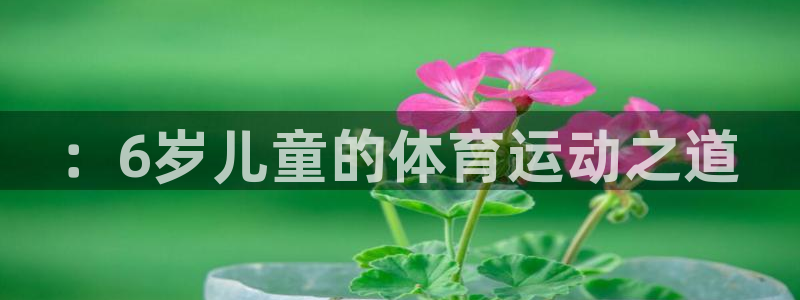 球客岛