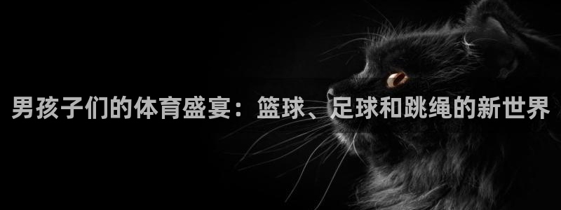 球客岛：男孩子们的体育盛宴：篮球、足球和跳绳的新世界