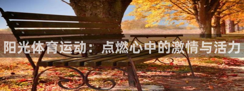 球客岛：阳光体育运动：点燃心中的激情与活力